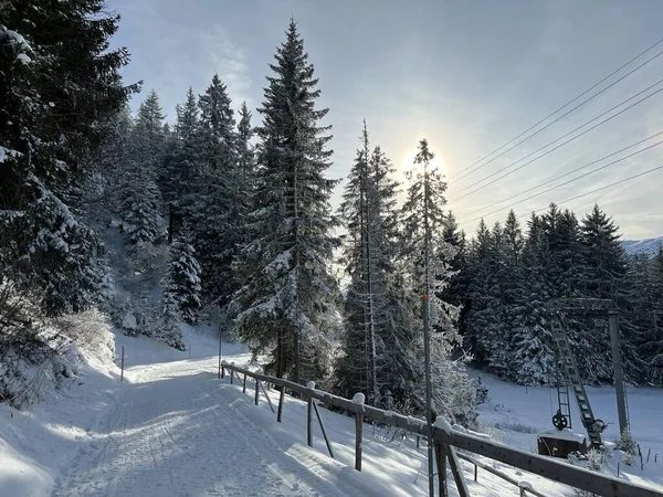 在瑞士Grisons州的瑞士阿尔卑斯山区的Valbella和Lenzerheide旅游胜地 Schweiz 妥善安排和清理冬季小径 供步行 运动和娱乐 — 图库照片