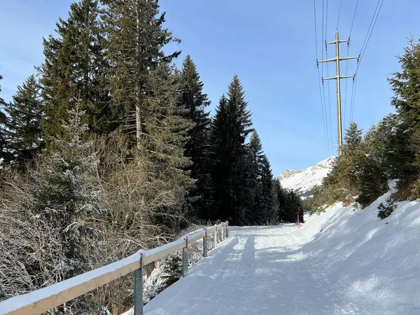 Sentieri Invernali Ottimamente Organizzati Puliti Passeggiate Escursioni Sport Ricreazione Nella — Foto Stock