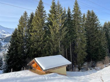 İsviçre Alpleri 'ndeki Valbella ve Lenzerheide tatil beldelerinin üzerindeki kar yağışı sonrası tipik bir kış atmosferindeki alp ağaçlarının resimli gölgeleri - İsviçre' deki Grisonlar Kantonu (Schweiz)