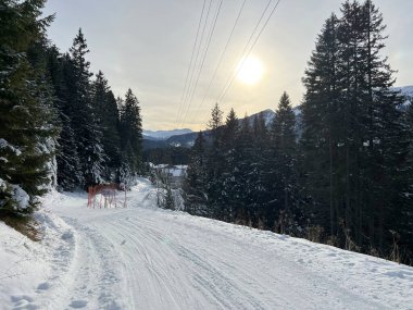 Scharmoin-Canols (Schlittelweg Scharmoin-Canols in der Lenzerheide), İsviçre 'nin Lenzerheide kentinde yer alan bir kış atmosferi.)