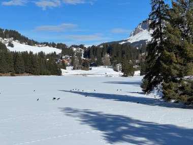 İsviçre 'nin Valbella ve Lenzerheide tatil beldelerindeki donmuş ve karla kaplı Heidsee (Igl Lai) alp gölünde tipik bir kış durağı - İsviçre' nin Grisonlar Kantonu (Schweiz)