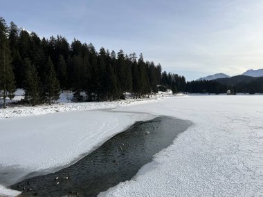 İsviçre 'nin Valbella ve Lenzerheide tatil beldelerindeki Heidsee (Igl Lai See) donmuş ve karla kaplı alp gölü üzerinde tipik bir kış manzarası - İsviçre / Schweiz Kantonu