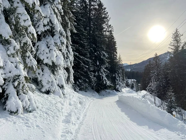 Scharmoin-Canols (Schlittelweg Scharmoin-Canols in der Lenzerheide), İsviçre 'nin Lenzerheide kentinde yer alan bir kış atmosferi.)