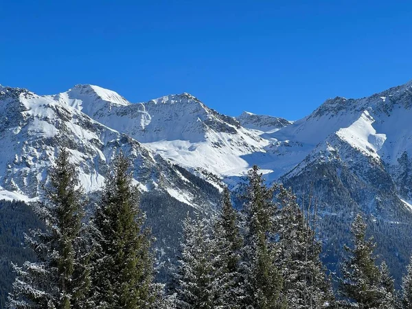 Belos Picos Alpinos Iluminados Pelo Sol Cobertos Neve Acima Dos — Fotografia de Stock
