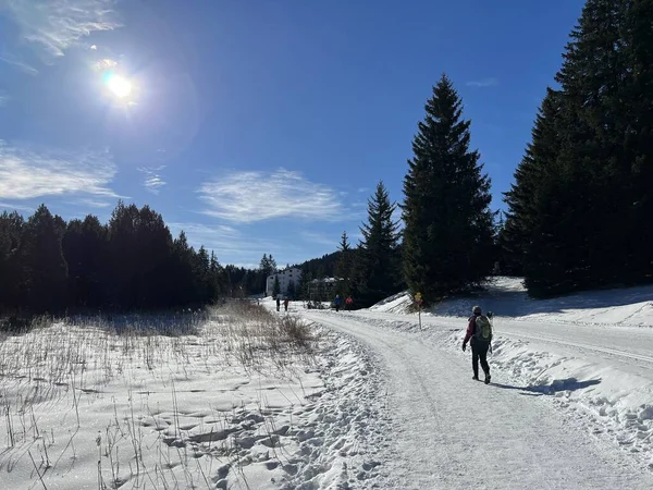 スイスの冬のリゾート地バルベラとレンゼルハイデの氷結と雪に覆われた高山湖ハイデゼー Igl Lai の典型的な冬のアイドル カントン グリソンズ スイス スイス — ストック写真