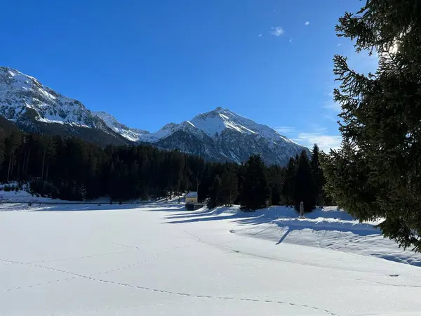 Типичная Зима Замерзшем Заснеженном Озере Хайдзее Швейцария Швейцарских Городах Вальбелла — стоковое фото