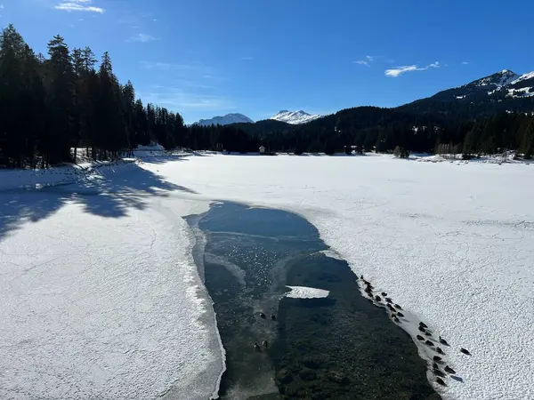 stock image A typical winter idyll on the frozen and snow-covered alpine lake Heidsee (Igl Lai) in the Swiss winter resorts of Valbella and Lenzerheide - Canton of Grisons, Switzerland (Schweiz)