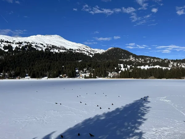 Een Typische Winteridylle Het Bevroren Besneeuwde Bergmeer Heidsee Igl Lai — Stockfoto