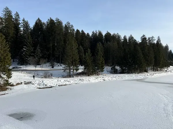 Stock image A typical winter idyll on the frozen and snow-covered alpine lake Heidsee (Igl Lai See) in the Swiss winter resorts of Valbella and Lenzerheide - Canton of Grisons, Switzerland / Schweiz