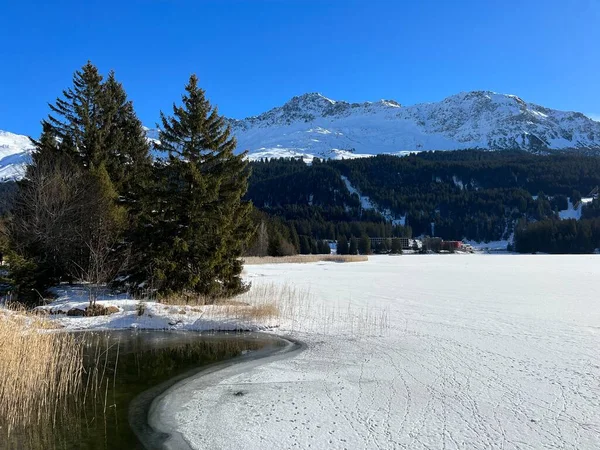 Типичная Зима Замерзшем Покрытом Снегом Озере Хайдзее Лай Зее Швейцарском — стоковое фото