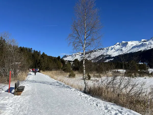 İsviçre 'nin Valbella ve Lenzerheide tatil beldelerindeki Heidsee (Igl Lai See) donmuş ve karla kaplı alp gölü üzerinde tipik bir kış manzarası - İsviçre / Schweiz Kantonu