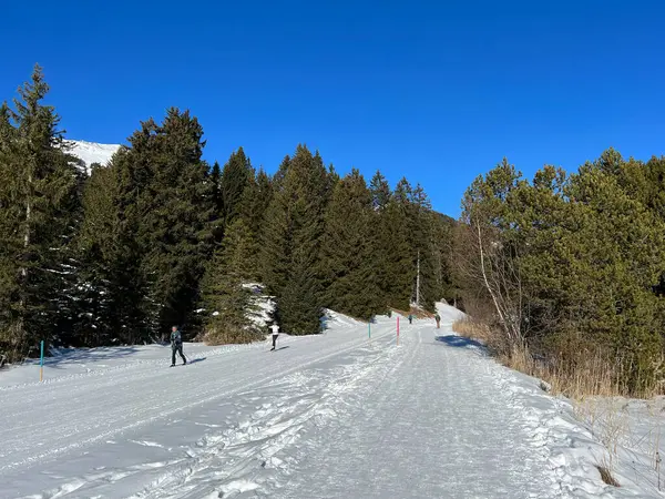 Esporte Inverno Pista Esqui Cross Country Torno Lago Alpino Congelado — Fotografia de Stock