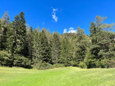 Albula ya da Alvra nehir vadisindeki dağların yamaçlarında ve İsviçre 'nin Grison Kantonu' nda (Kanton Graubuenden, Schweiz)