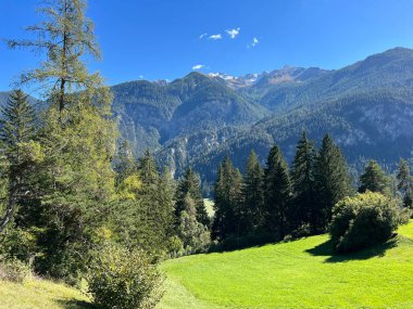 Albula veya Alvra nehir vadisindeki dağların yamaçlarında güzel otlakları ve karışık alp ormanlarıyla doğal manzara - Kanton of Grisons, İsviçre (Kanton Graubuenden, Schweiz)