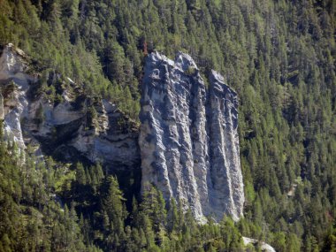 Albula ya da Alvra nehrinin yukarısında, Grisonlar, Surava kantonunun coğrafi merkezinden çok da uzak olmayan harika bir dik taş sıçraması (Crp Furo) İsviçre (Schweiz)