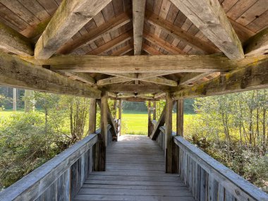 Albula Nehri üzerindeki geleneksel ahşap köprü veya Alvra Nehri üzerindeki tahta yaya köprüsü (Gedeckte Holzbruecke ueber die Albula Fluss) - İsviçre (Schweiz)