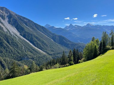 Landwasser nehir vadisindeki dağların yamaçlarında güzel otlakları ve karışık alp ormanları olan doğal manzara - Kanton of Grisons, İsviçre (Kanton Graubuenden, Schweiz)