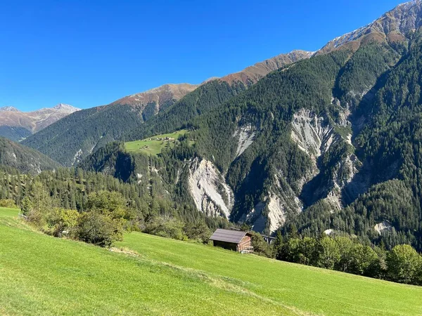 비탈에 아름다운 목초지 뒤섞여 스위스 그리스 바이츠 Kanton Graubuenden Schweiz — 스톡 사진