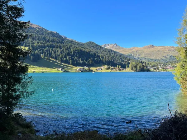 アルプスの中心部でスポーツやリラクゼーションのための有名なスイスの山ダボス湖 Davosersee Oder Davoser See ダボスのドーフ スイスのグリソンのカントン Kann Graubuenden Sweiz — ストック写真