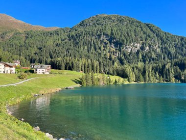 Alp dağı Seehorn (2238 m) turizm ve spor dağı Davos veya Davosersee 'nin üzerindeki ebedi yeşil ormanla kaplı, Davos Dorf - Grisons Kantonu, İsviçre (Kanton Graubuenden, Schweiz)