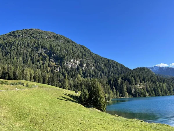 瑞士格劳森州达沃斯多尔夫 Davos Dorf 达沃斯或达沃斯 Davos Dorf 的旅游和体育山地湖上覆盖着常绿森林的高山猎角 2238米 Kanton Graubuenden — 图库照片