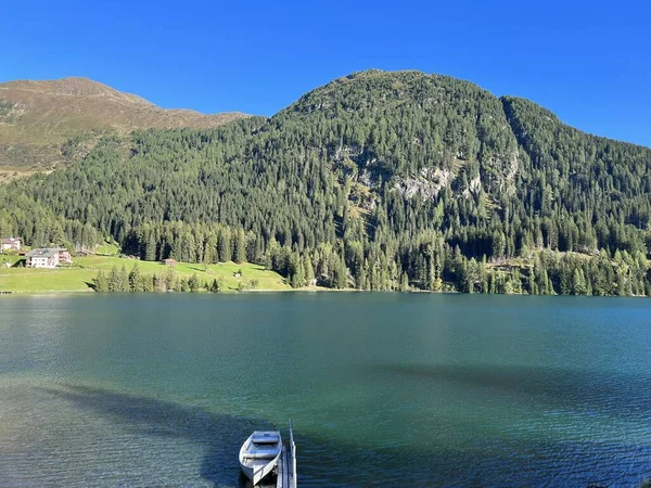 アルパイン山のシーホーン 2238 観光とスポーツの山の湖ダボスまたはダヴォス ドーフの上の常緑樹林で覆われています カントン グリュブエンデン スイス カントン グラウエンデン スイス — ストック写真