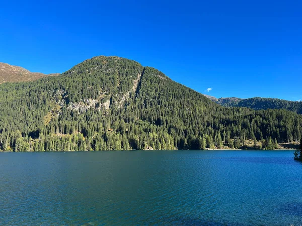 Alpine Mountain Seehorn 2238 Coberto Com Floresta Perene Acima Lago — Fotografia de Stock