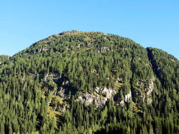 Alpejska Góra Seehorn 2238 Pokryta Wiecznie Zielonym Lasem Nad Jeziorem — Zdjęcie stockowe