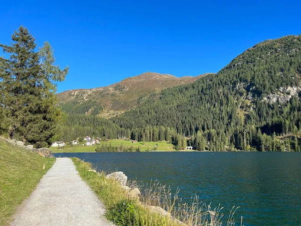 ダヴォス湖に沿ってスポーツやレクリエーショントレイルや山の周りのループダヴォスドーフ ダヴォス湖 グリソン スイスのカントン カントンGraubuenden スイス — ストック写真