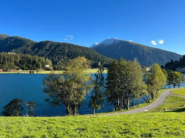 Sports Recreational Trail Alpine Lake Davos Loop Mountain Lake Davosersee — Stock Photo, Image