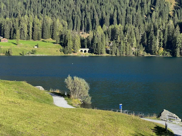 瑞士达沃斯湖 Davos Dorf 瑞士格劳森州 Kanton Graubuenden Schweiz 位于阿尔卑斯山脉中心 是瑞士著名的高山达沃斯湖 以运动和休闲著称 — 图库照片