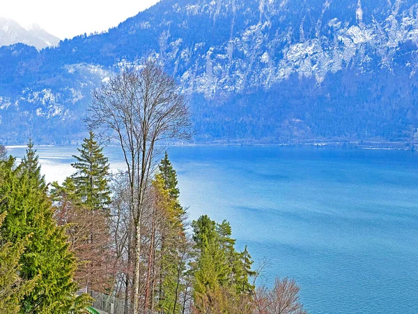 Lago Thun Lago Alpino Oberland Bernés Thunersee Ein Fjordsee Berner — Foto de Stock