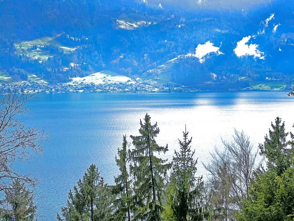 Lac Thoune Lac Alpin Dans Oberland Bernois Thunersee Ein Fjordsee — Photo
