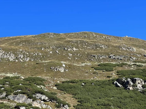Alpenweiden Herfst Hoge Bergtoppen Van Albulalpen Boven Zwitserse Bergpas Fluela — Stockfoto