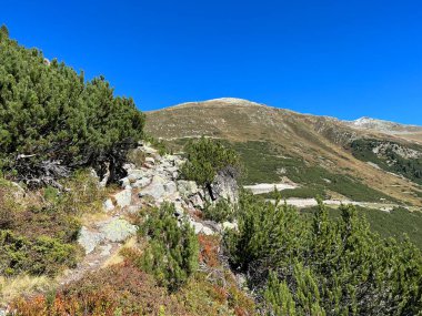 Albula Alpleri ve Fluela (Fluelapass) dağ yolu üzerindeki İsviçre Alp Dağları 'nda yürüyüş rotaları veya dağcılık rotaları (Kanton Graubden, Schweiz)