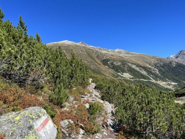 Albula Alpleri ve Fluela (Fluelapass) dağ yolu üzerindeki İsviçre Alp Dağları 'nda yürüyüş rotaları veya dağcılık rotaları (Kanton Graubden, Schweiz)