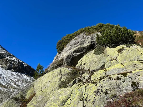 Skały Kamienie Jesiennym Alpejskim Środowisku Albuli Nad Szwajcarskim Przełęczą Górską — Zdjęcie stockowe