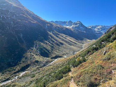 Alp Vadisi 'nin güzel sonbahar manzarası Val Grialetsch ve Albula Alp Dağları' ndaki Aua da Grialetsch nehri, Zernez Kantonu, İsviçre (Kanton Graubuenden, Schweiz)