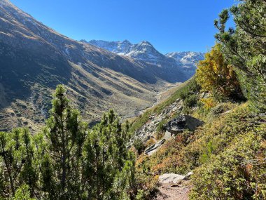Alp Vadisi 'nin güzel sonbahar manzarası Val Grialetsch ve Albula Alp Dağları' ndaki Aua da Grialetsch nehri, Zernez Kantonu, İsviçre (Kanton Graubuenden, Schweiz)