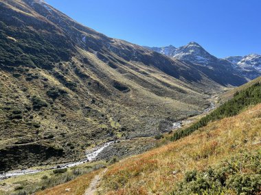Alp Vadisi 'nin güzel sonbahar manzarası Val Grialetsch ve Albula Alp Dağları' ndaki Aua da Grialetsch nehri, Zernez Kantonu, İsviçre (Kanton Graubuenden, Schweiz)