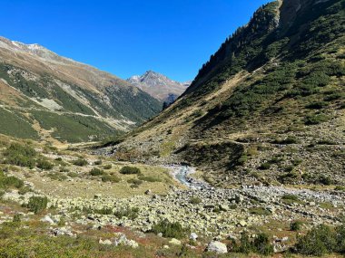 Alp Vadisi 'nin güzel sonbahar manzarası Val Grialetsch ve Albula Alp Dağları' ndaki Aua da Grialetsch nehri, Zernez Kantonu, İsviçre (Kanton Graubuenden, Schweiz)