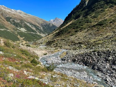 Alp Vadisi 'nin güzel sonbahar manzarası Val Grialetsch ve Albula Alp Dağları' ndaki Aua da Grialetsch nehri, Zernez Kantonu, İsviçre (Kanton Graubuenden, Schweiz)