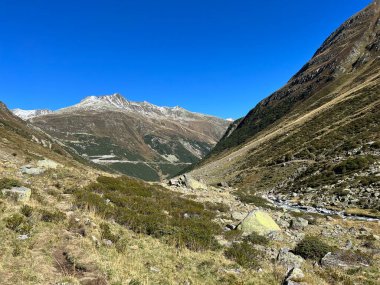 Alp Vadisi 'nin güzel sonbahar manzarası Val Grialetsch ve Albula Alp Dağları' ndaki Aua da Grialetsch nehri, Zernez Kantonu, İsviçre (Kanton Graubuenden, Schweiz)