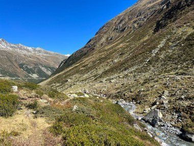Alp Vadisi 'nin güzel sonbahar manzarası Val Grialetsch ve Albula Alp Dağları' ndaki Aua da Grialetsch nehri, Zernez Kantonu, İsviçre (Kanton Graubuenden, Schweiz)
