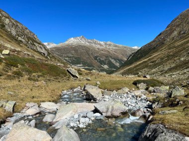 Alp Vadisi 'nin güzel sonbahar manzarası Val Grialetsch ve Albula Alp Dağları' ndaki Aua da Grialetsch nehri, Zernez Kantonu, İsviçre (Kanton Graubuenden, Schweiz)