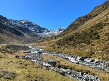 Alp Vadisi 'nin güzel sonbahar manzarası Val Grialetsch ve Albula Alp Dağları' ndaki Aua da Grialetsch nehri, Zernez Kantonu, İsviçre (Kanton Graubuenden, Schweiz)