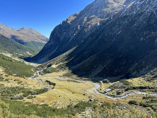 Alp Vadisi 'nin güzel sonbahar manzarası Val Grialetsch ve Albula Alp Dağları' ndaki Aua da Grialetsch nehri, Zernez Kantonu, İsviçre (Kanton Graubuenden, Schweiz)