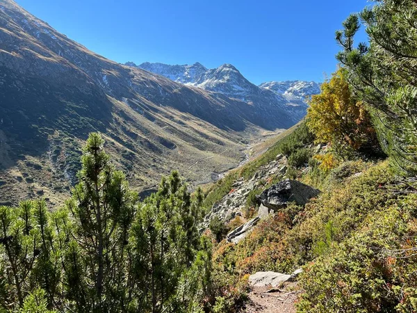 Alp Vadisi 'nin güzel sonbahar manzarası Val Grialetsch ve Albula Alp Dağları' ndaki Aua da Grialetsch nehri, Zernez Kantonu, İsviçre (Kanton Graubuenden, Schweiz)