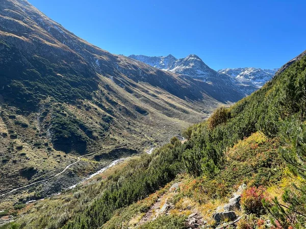 Prachtig Herfstpanorama Van Het Alpendal Val Grialetsch Aua Grialetsch Het — Stockfoto
