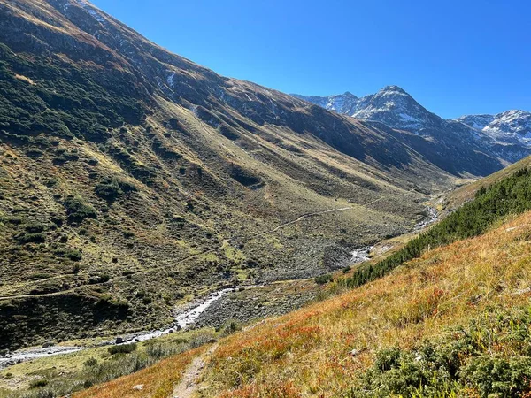 Prachtig Herfstpanorama Van Het Alpendal Val Grialetsch Aua Grialetsch Het — Stockfoto